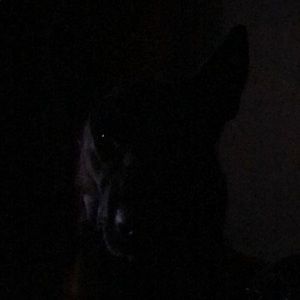 Meet your Posher, Timothy